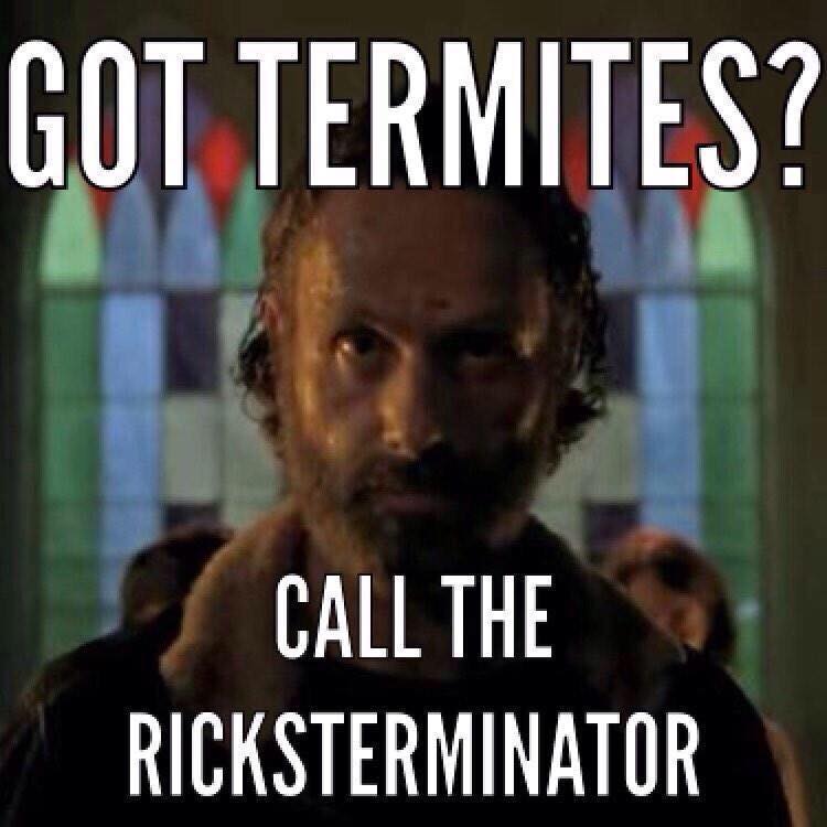 walking dead terminus meme carol