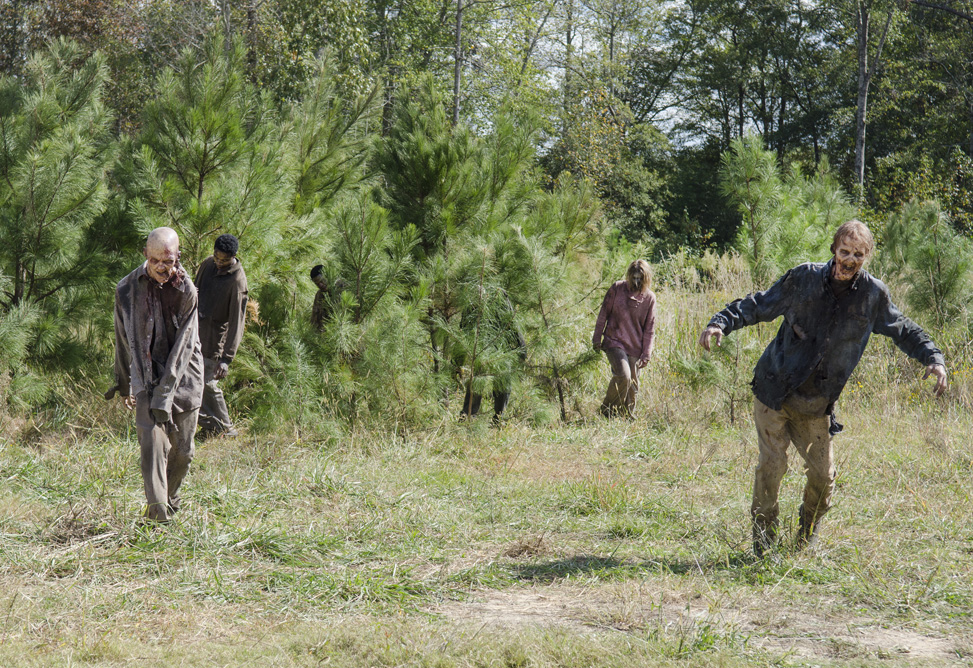Walkers - The Walking Dead _ Season 5, Episode 14 - Photo Credit: Gene Page/AMC