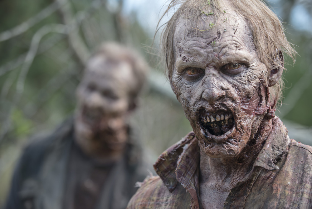 Walker - The Walking Dead _ Season 5, Episode 13 - Photo Credit: Gene Page/AMC
