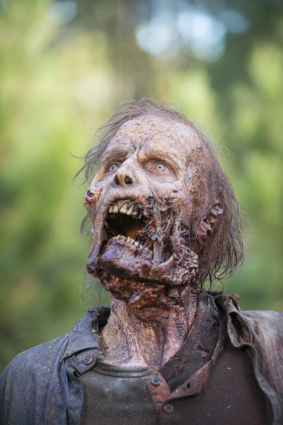 Walker - The Walking Dead _ Season 5, Episode 16  - Photo Credit: Gene Page/AMC