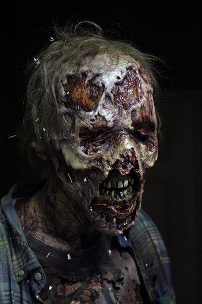 twd-zombie-1s