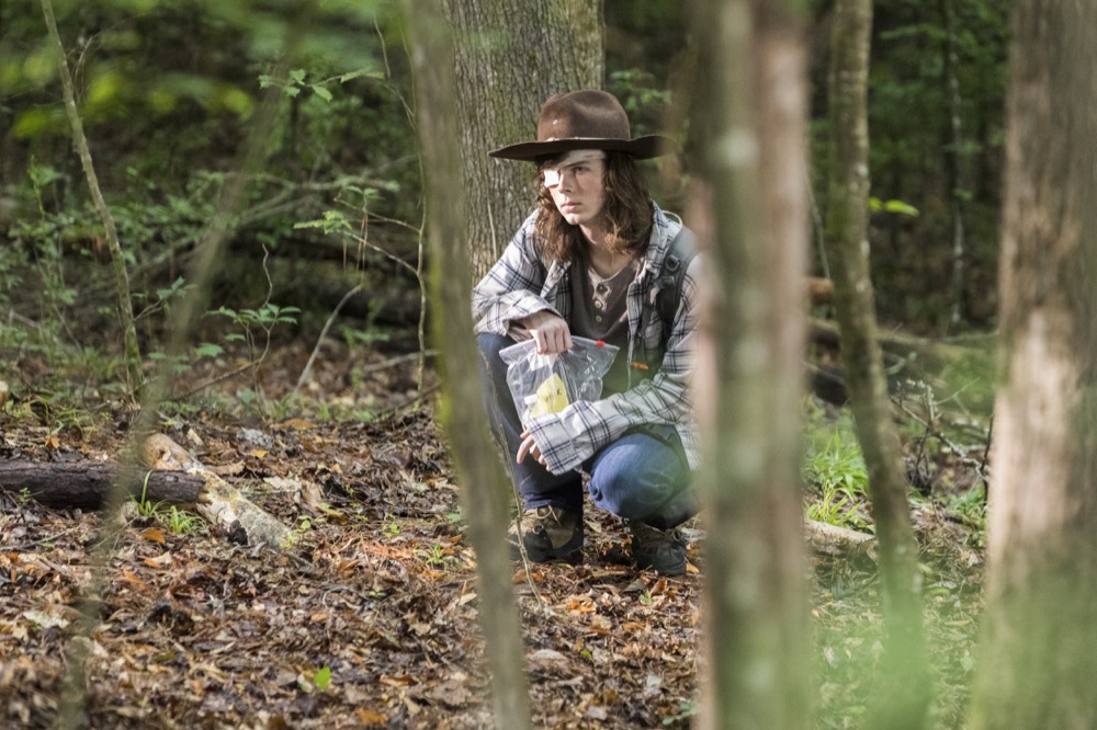 Chandler Riggs as Carl Grimes - The Walking Dead _ Season 8, Episode 6 - Photo Credit: Jackson Lee Davis/AMC