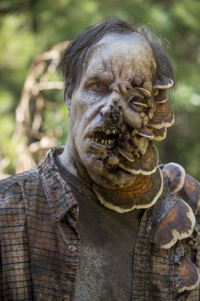 The Walking Dead _ Season 8, Episode 11 - Photo Credit: Gene Page/AMC