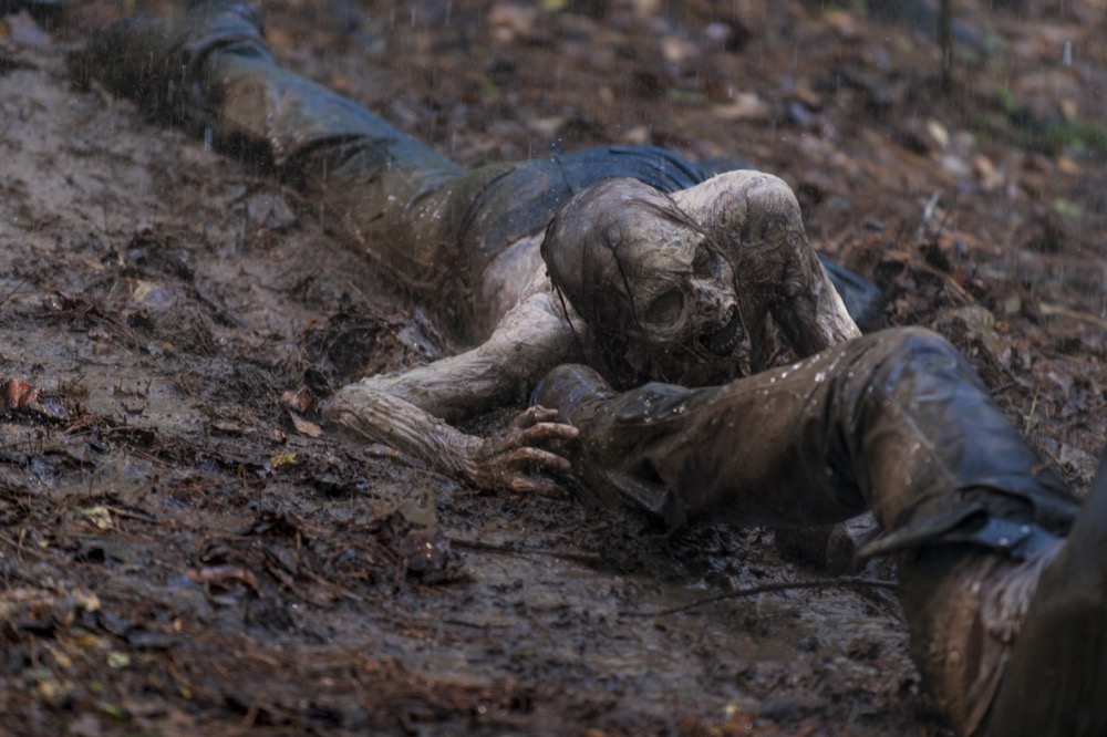 - The Walking Dead _ Season 8, Episode 15 - Photo Credit: Gene Page/AMC