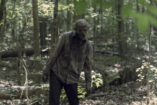 Alpha & Beta Return In Walking Dead Episode 1005 Images - Skybound ...