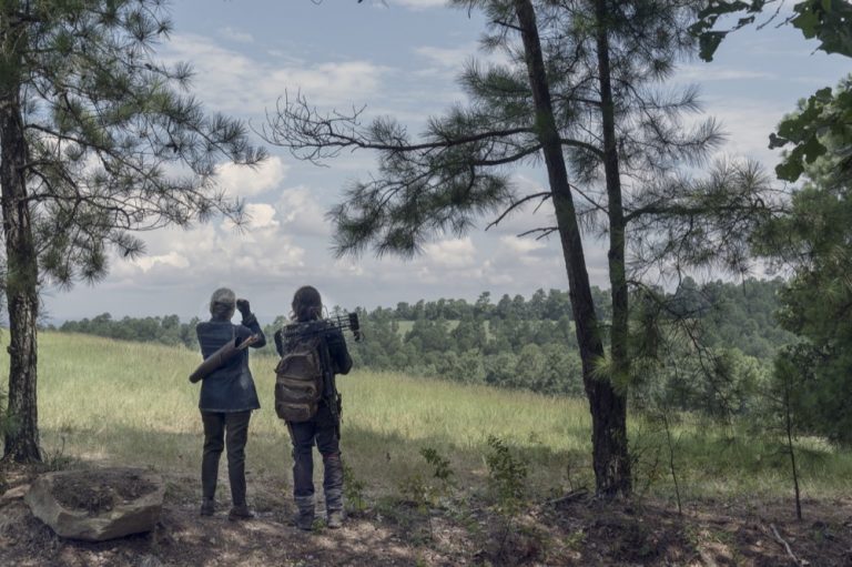 Daryl & Carol Hunt The Whisperers In New Walking Dead Images Skybound