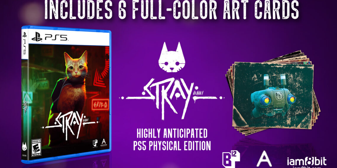 Bring Home the World of Stray with the Release of the PlayStation 5 Physical Edition